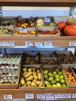 Produkte und Dienstleistungen Stiftung Bühl-Gärtnerei-Kräutersalze-Kräutertees-chiliöl-süss-saures Gemüse