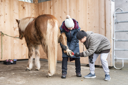 Therapeutische Wohnschulgruppe - Stiftung Bühl - Pferde Hufen reinigen