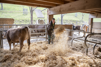 Bio-Landwirtschaft - Stiftung Bühl - Stroh verteilen