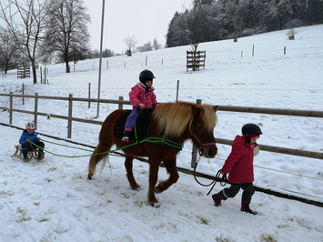 Heilpädagogische Reiten - Stiftung Bühl - Pferd im Winter zieht Schlitten