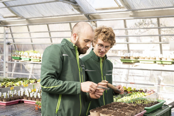 Bio-Gärtnerei - Stiftung Bühl - Pflanzen pflege