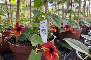 Bio-Gärtnerei - Stiftung Bühl - Produkte - Mitarbeiter