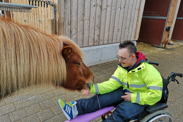 Heilpädagogisches Reiten