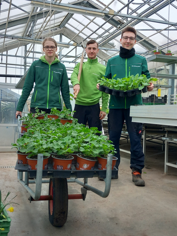 Die Bio-Gärtnerei Die Bio-Gärtnerei