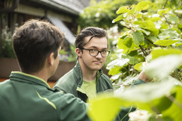 Produkte und Dienstleistungen Stiftung Bühl-Garten- und Landschaftsbau-zwei am Jäten und Rasen mähen