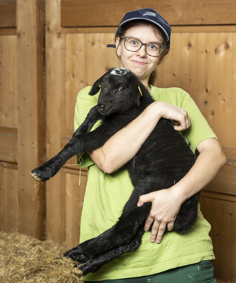 Bio-Landwirtschaft - Berufsbild - Traktor