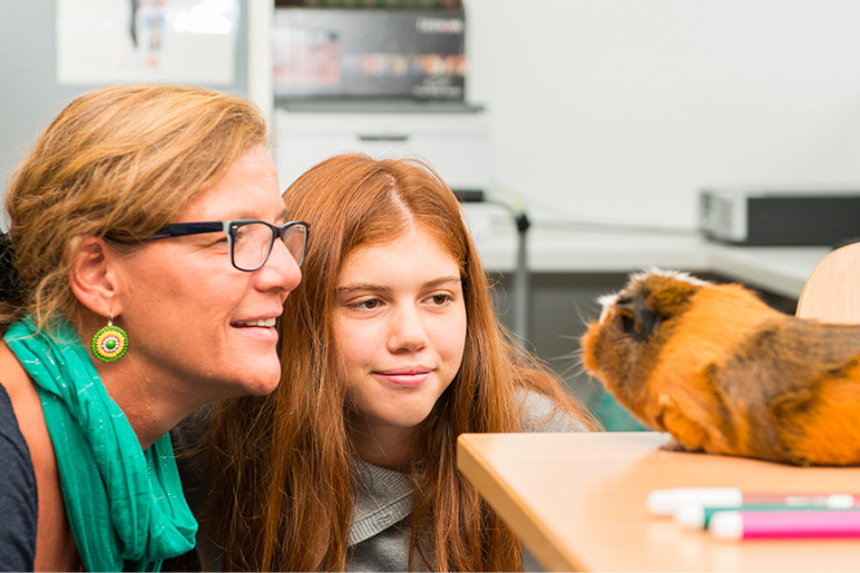 Sonderschule und Wohnen