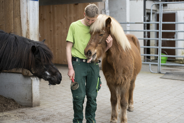 Bio-Landwirtschaft - Stiftung Bühl - Pferdehaltung