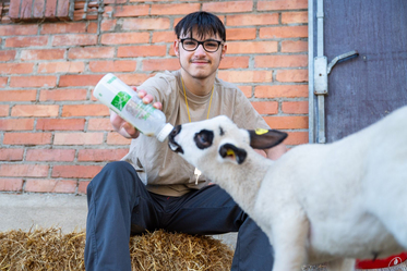 Bio-Landwirtschaft