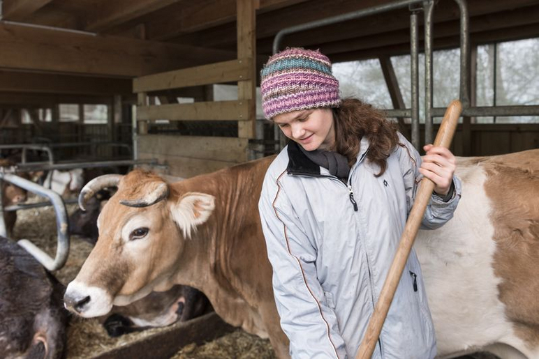 Aufnahme Berufswahl und Lebensvorbereitung - Jugendliche mistet Kuhstall aus - Bild mit Kuh