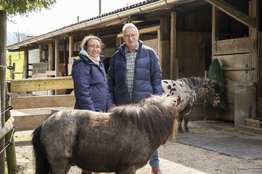 Spenden - JobCare - Freiwilliger Helfer mit Arbeitnehmende bei den Ponys