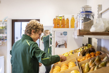 Bio-Gärtnerei - Stiftung Bühl - Blumenverkauf