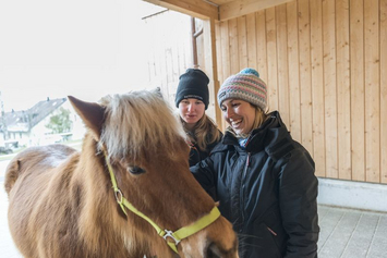 Heilpädagogische Reiten - Stiftung Bühl - Pferde streicheln