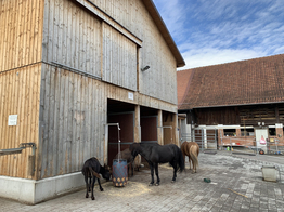 Bio-Landwirtschaft - Stiftung Bühl - Pferdestall