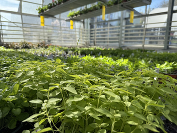 Bio-Gärtnerei - Stiftung Bühl - Produkte - Kühlschrank