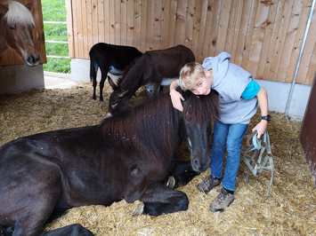 Heilpädagogische Reiten - Stiftung Bühl - Kind mit Pferd