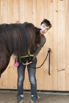 Junge striegelt Pferd - Stiftung Bühl