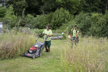 Garten- und Landschaftsbau - Rasen mit Motorsense mähen