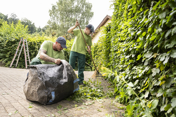 Beruf Gärtner - Hecke schneiden