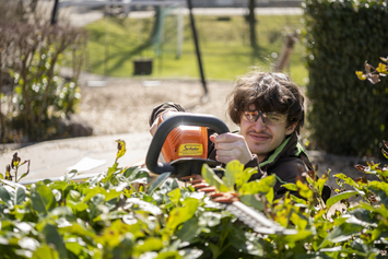 Gärtner schneidet Hecke - Stiftung Bühl