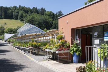 Bio-Gärtnerei - Stiftung Bühl - Produkte - Gebäude