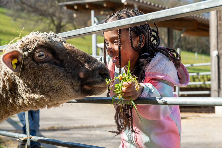 Spenden für Kinder